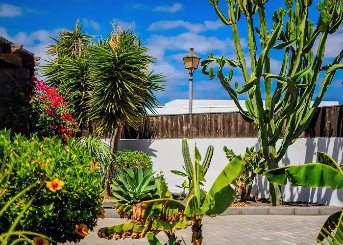 Fedelian 2 * بلايا بلانكا